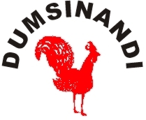 Dumsinandi